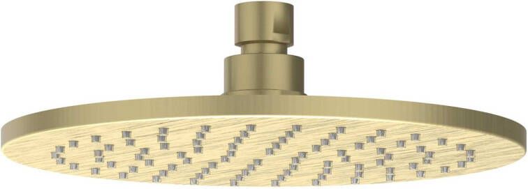 Ivy Hoofddouche medium 30cm antikalk nozzels RVS316 geborsteld mat goud PVD 6900762