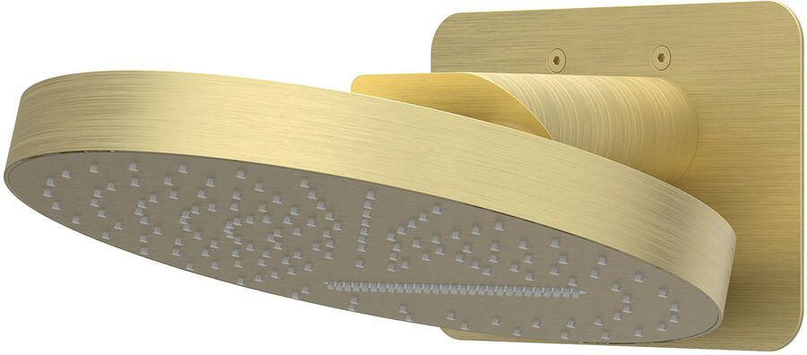 IVY Hoofddouche HALO Wandmodel Inc. Wandbeugel en Inbouwbox 32 cm Geborsteld Mat Goud PVD