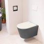 Mondiaz LAVIE wandclosetpack 36x53cm diepspoel rimless Dark grey (grijs) softclose quick-release toiletzitting Linen (offwhite) LAVIEsetDgrLin - Thumbnail 1