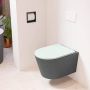 Mondiaz LAVIE wandclosetpack 36x53cm diepspoel rimless Dark grey (grijs) softclose quick-release toiletzitting Greey (grijs) LAVIEsetDgrGre - Thumbnail 1