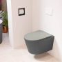 Mondiaz LAVIE wandclosetpack 36x53cm diepspoel rimless Dark grey (grijs) softclose quick-release toiletzitting Smoke (grijs) LAVIEsetDgrSmo - Thumbnail 1