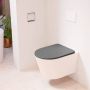 Mondiaz LAVIE wandclosetpack 36x53cm diepspoel rimless Rosee (roze) softclose quick-release toiletzitting Dark grey (grijs) LAVIEsetRosDgr - Thumbnail 1