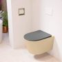 Mondiaz LAVIE wandclosetpack 36x53cm diepspoel rimless Sand (beige) softclose quick-release toiletzitting Dark grey (grijs) LAVIEsetSanDgr - Thumbnail 1