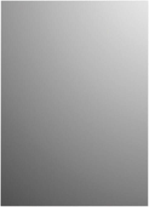 Plieger Basic 4mm spiegel rechthoekig 45x30cm zilver 4350044