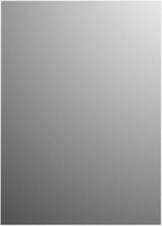 Plieger Basic 4mm spiegel rechthoekig 50x40cm zilver 4350046