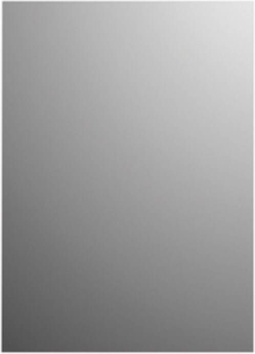 Plieger Spiegel Basic Rechthoekig 4mm 60x40cm Zilver