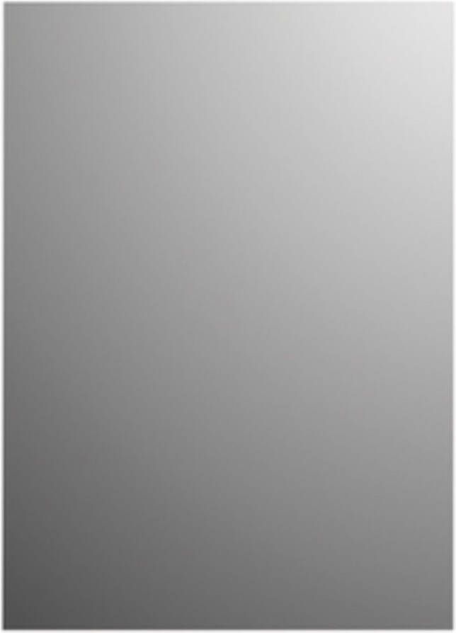 Plieger Basic 4mm rechthoekige spiegel 60x90cm zilver 4350980