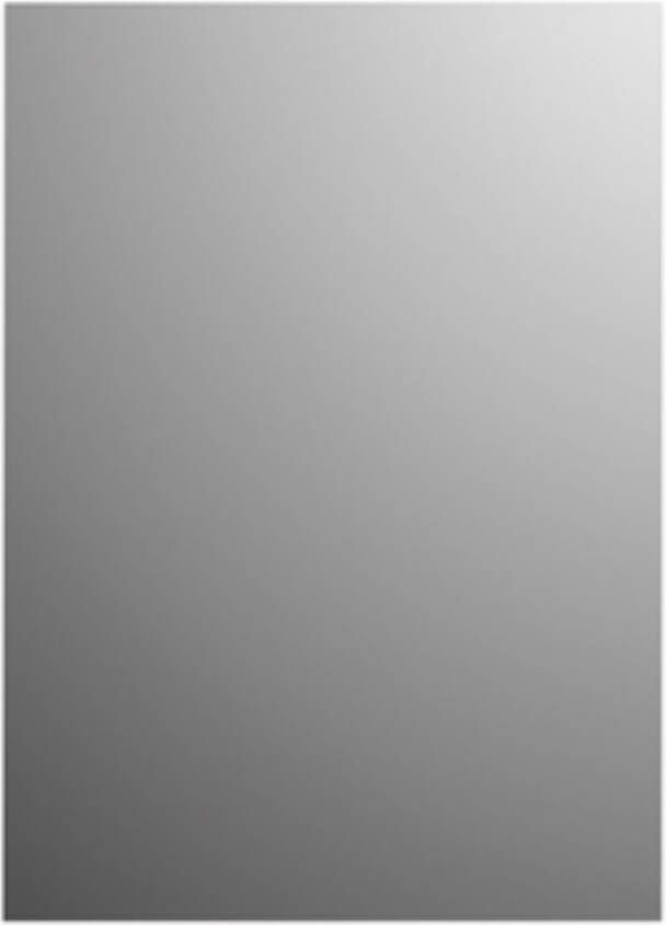 Plieger Spiegel Basic Rechthoekig 4mm 70x55cm Zilver