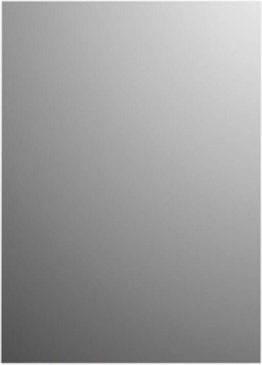 Plieger Basic 4mm rechthoekige spiegel 90x45cm zilver 4350052
