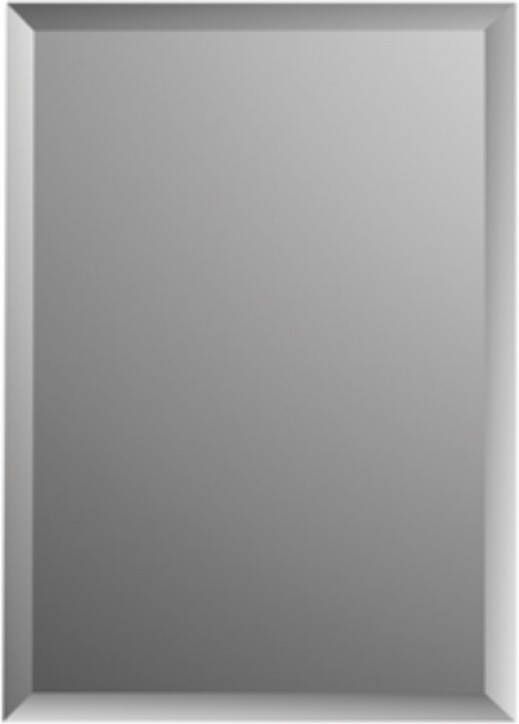 Plieger Spiegel Charleston Rechthoekig 4mm Met Facetrand 120x45cm Zilver