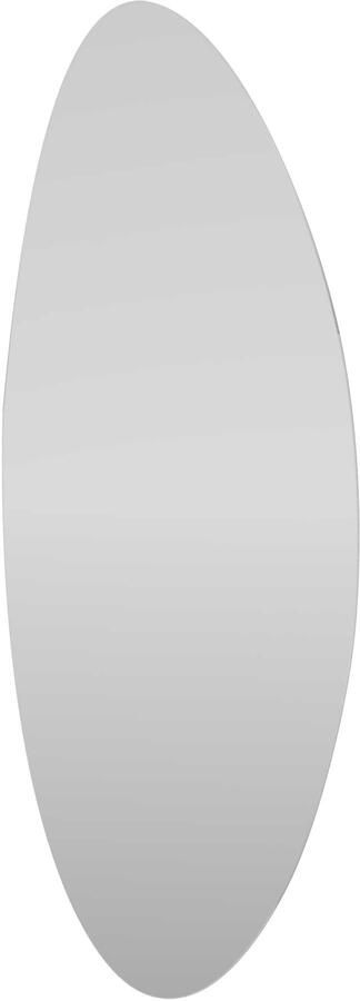 Proline Fico Spiegel Organisch 30x1x80 cm Spiegel