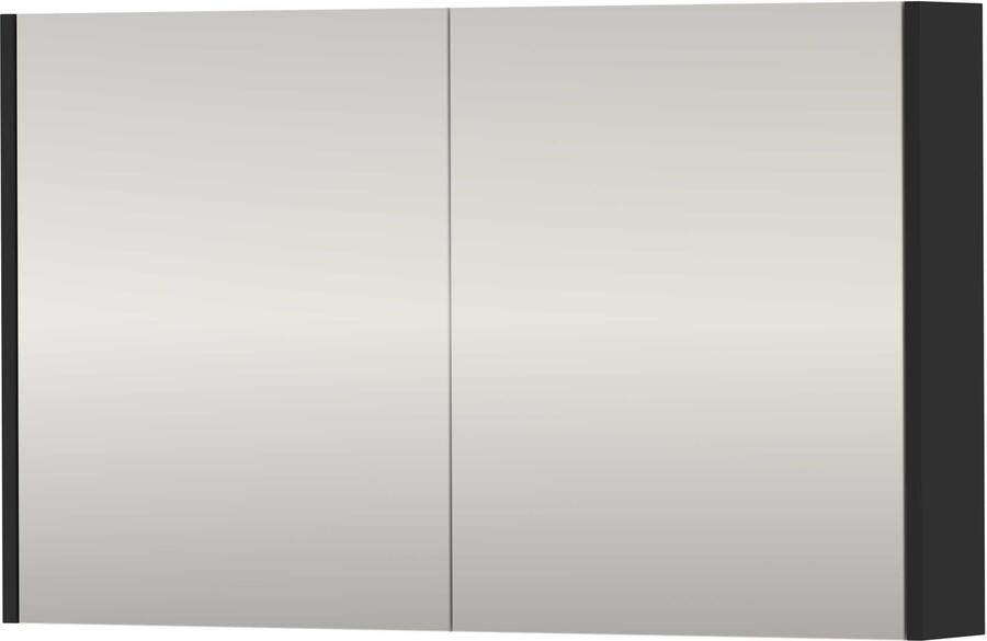 Proline SPK Comfort Spiegelkast Dubbelzijdig 100x14x60 cm Mat Zwart