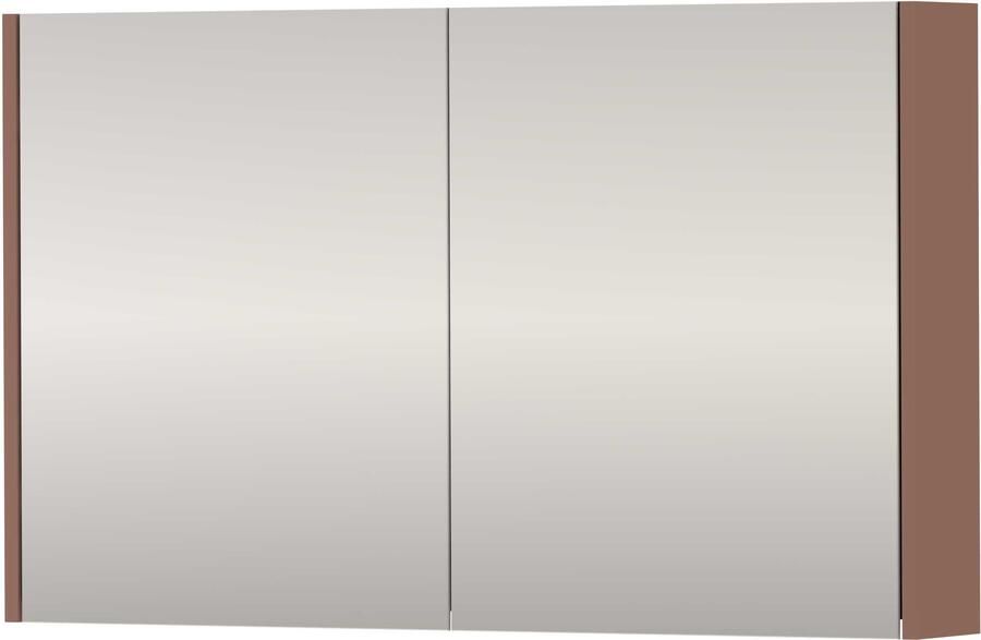Proline SPK Xcellent Spiegelkast Dubbelzijdig 100x14x60 cm Beauty Blush