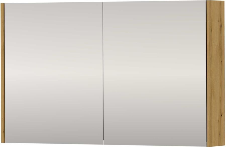 Proline SPK Xcellent Spiegelkast Dubbelzijdig 100x14x60 cm Urban Oak