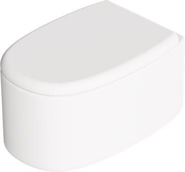 Salenzi Wandcloset Idilla 55 cm Keramiek Tornado Spoeling Mat Wit (excl. zitting)