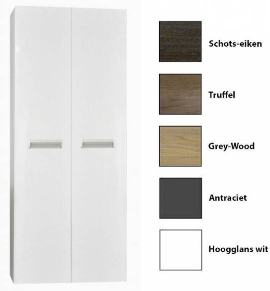 Sanicare Kolomkast Q2 Q3 Q8 2-Deurs Soft-Closing 160x67x32 cm Grey-Wood