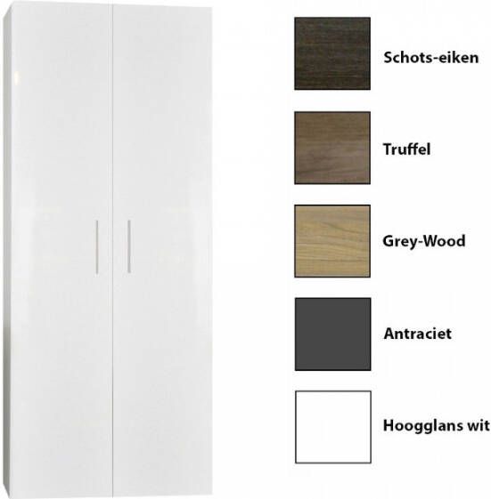 Sanicare Kolomkast Q4 Q15 2-Deurs Soft-Closing 160x67x32 cm Grey-Wood