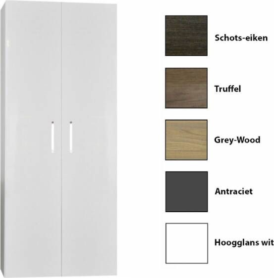 Sanicare Kolomkast Q6 Q14 Q16 2-Deurs Soft-Closing Chromen Greep 160x67x32 cm Grey-Wood
