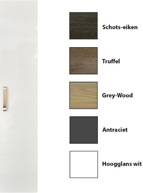 Sanicare Kolomkast 1 Soft-Closing Deur Chromen Greep 160x33 5x32 cm Antraciet