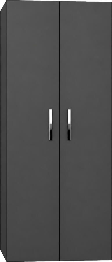 Sanicare Kolomkast Q1 Q12 Q17 2-Deurs Soft-Closing Chromen Greep 160x67x32 cm Antraciet