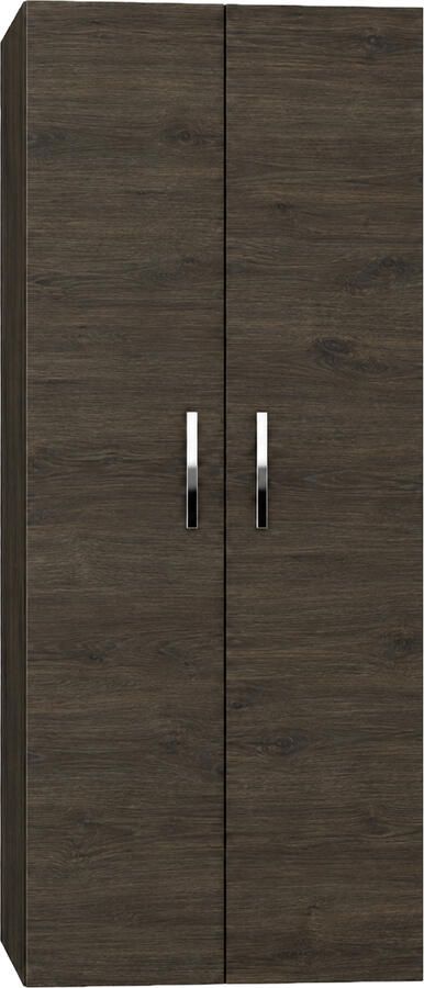Sanicare Kolomkast Q1 Q12 Q17 2-Deurs Soft-Closing Chromen Greep 160x67x32 cm Schots-Eiken