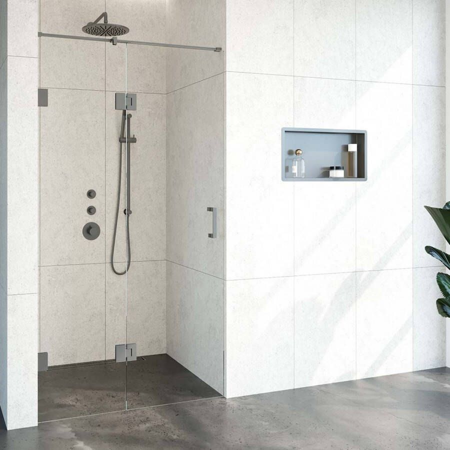 Sanitop BRAUER Void nisdeur 2-delig helder glas 110x200 omkeerbaar met draaideur 60 aan glas incl. glascoating PVD RVS-kleurig