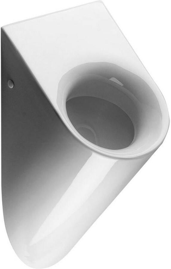 Sapho Urinoir Pura 39x60x31 cm Achterinlaat Keramiek Wit