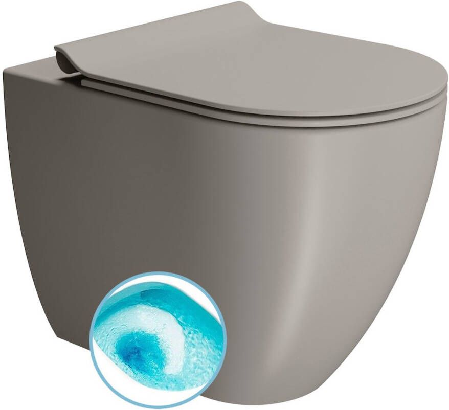 Sapho Toilet Closet Swirlflush S-Trap P-Trap Pura 36x55 Mat Grijs