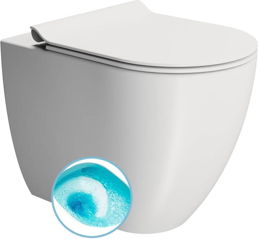 Sapho Toilet Closet Swirlflush S-Trap P-Trap Pura 36x55 Mat Wit
