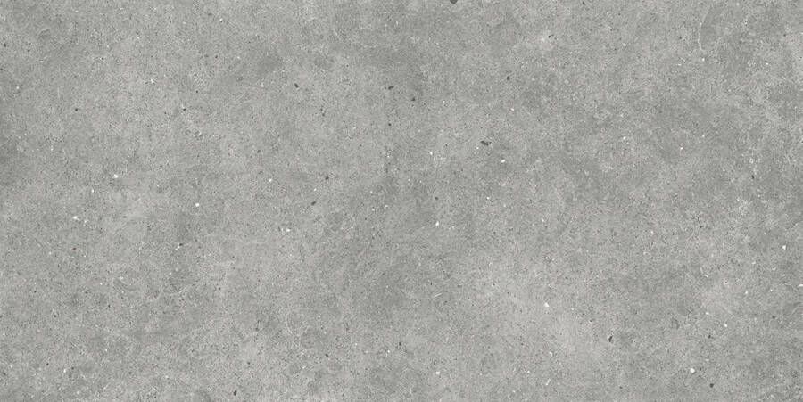 Tegeldepot Vloertegel Euro Flyzone Soul 60x120 cm Grey (Doosinhoud 1.44 m2) OP IS OP