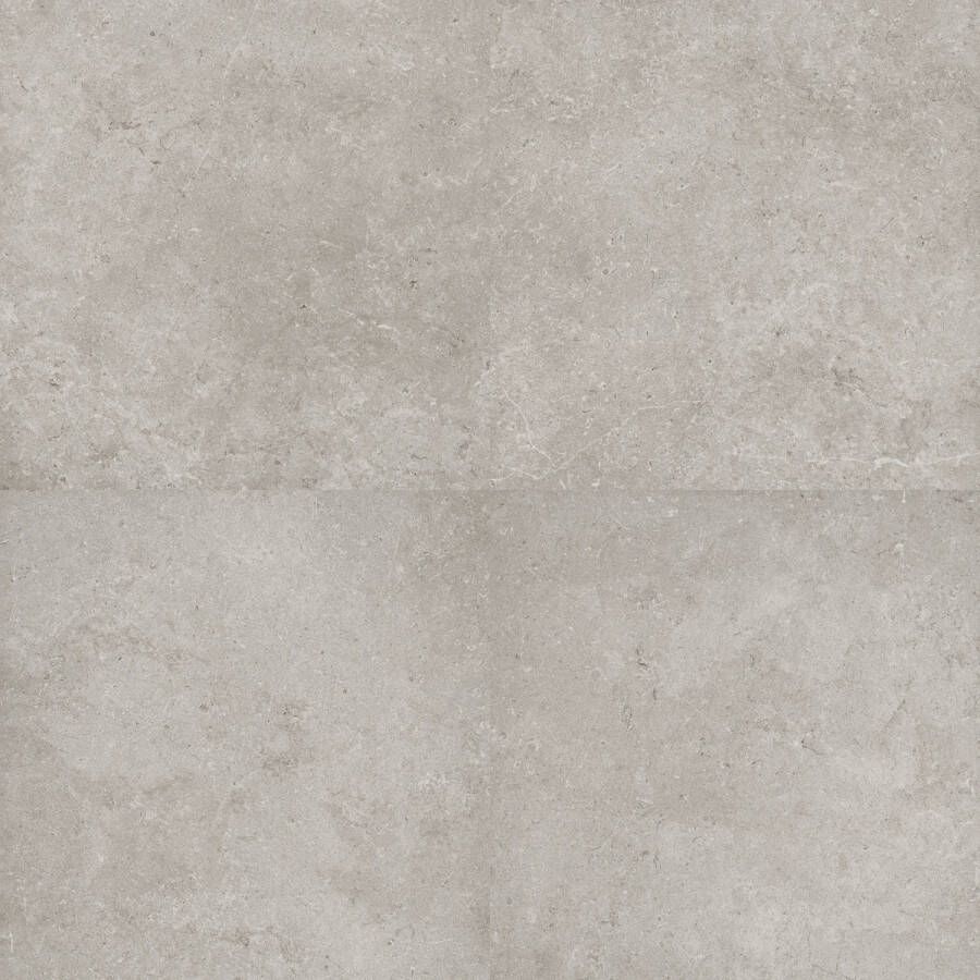 Tegeldepot Vloertegel Flaminia Oregon Silver 60x60 cm Gerectificeerd (Doosinhoud 1.08 m2)