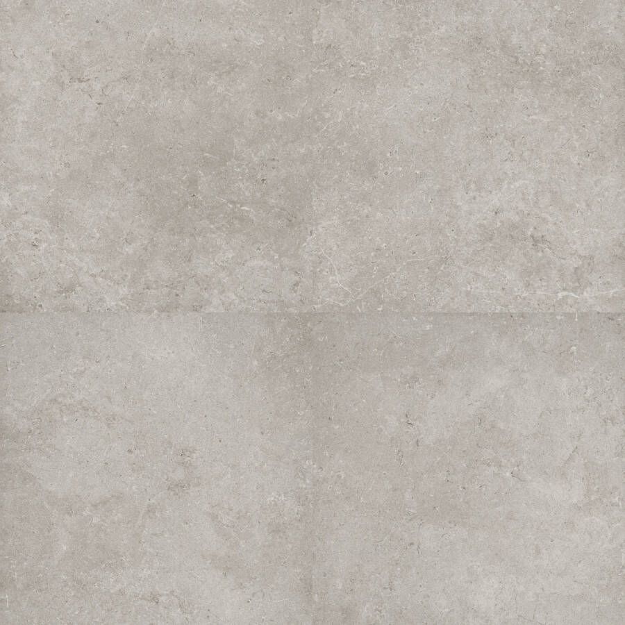 Tegeldepot Vloertegel Flaminia Oregon Silver 60x60 cm Gerectificeerd (Doosinhoud 1.44 m2)