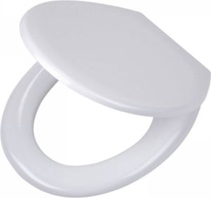 Tiger Toiletbril Pasadena Softclose Thermoplast Wit 37.1x5.7x44.6cm 250040646