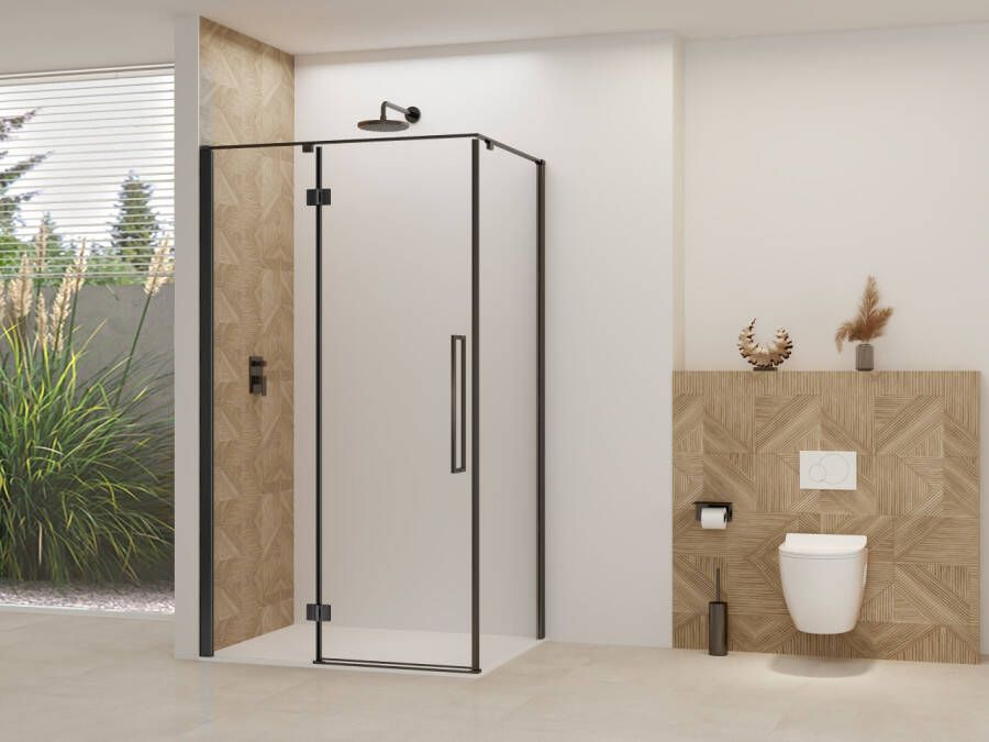 Van Rijn Nisdeur Products ST07 Voor Hoekcabine 100x200 cm 8 mm Helder Glas Incl. Beslag Greep en Stabilisatiestang Mat Zwart