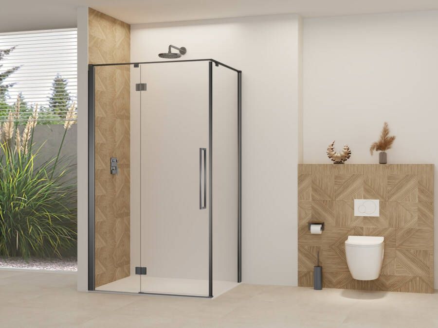 Van Rijn Nisdeur Products ST07 Voor Hoekcabine 100x200 cm 8 mm Helder Glas Incl. Beslag Greep en Stabilisatiestang Geborsteld Gunmetal