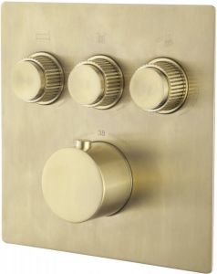 Wiesbaden Douchekraan Caral Klik Pro Afbouwdeel Thermostatisch Inbouw Geborsteld Messing 3-weg
