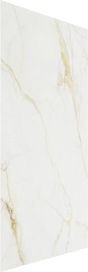 Balmani Impress douchewandpaneel 120 x 240 cm composiet witte marmer look rock structuur