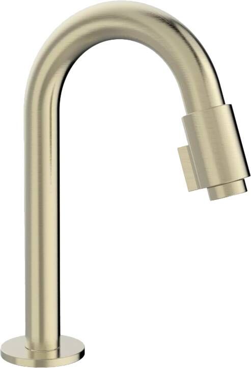 Blaufoss Ottawa standaard fonteinkraan Brushed Champagne Gold
