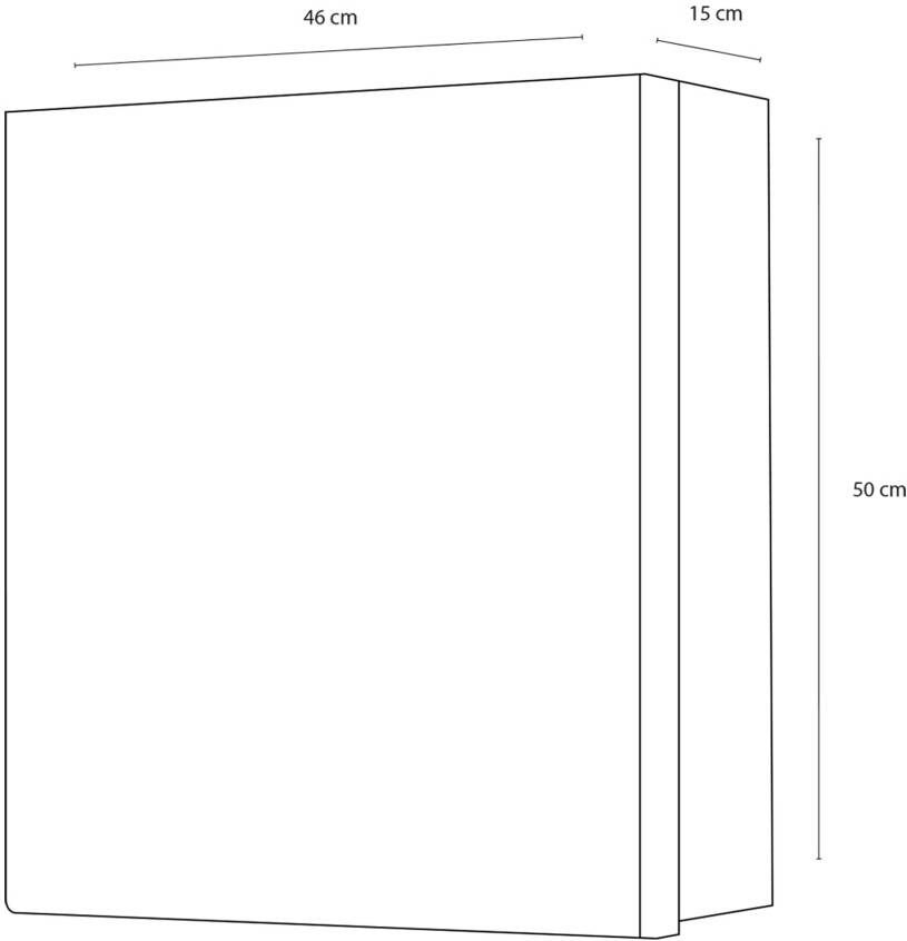 Differnz Maja spiegelkast MDF 46 x 15 x 50 cm wit