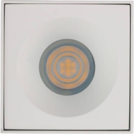 Glovalux Plafondspot down vierkant wit IP54