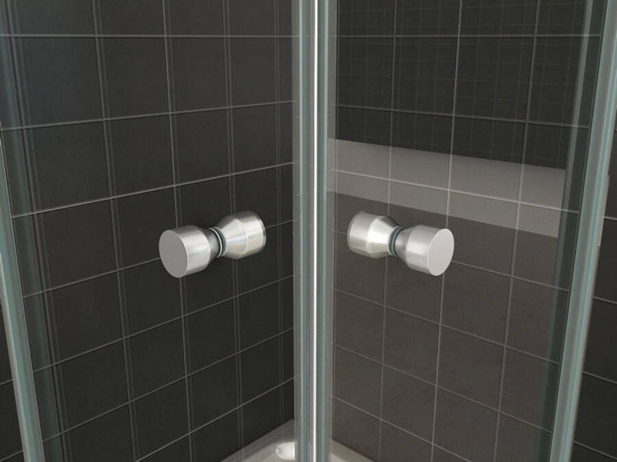 Wiesbaden Eco hoekinstap douchecabine 5mm 800x800x1900 helder glas