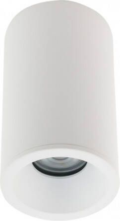 Glovalux Plafondspot down rond wit IP54