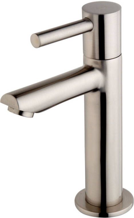 Wiesbaden Fonteinkraan Amador XL | Opbouw | Koudwater kraan | Standaard model | Rond | Geborsteld staal PVD - Foto 5